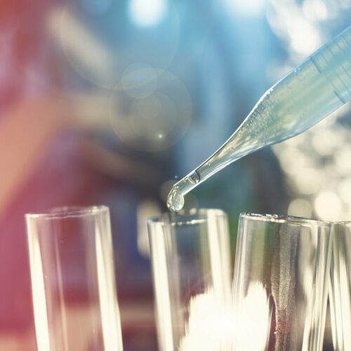 Immunotherapy, A Promising Future in Cancer Treatments!